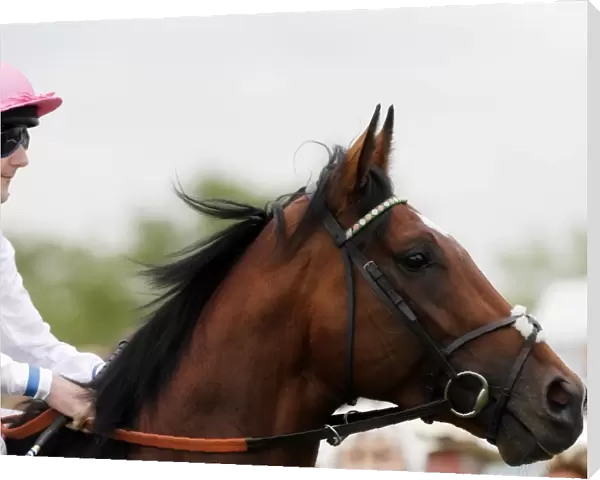 Tom Queally & Frankel - 2011 Sussex Stakes