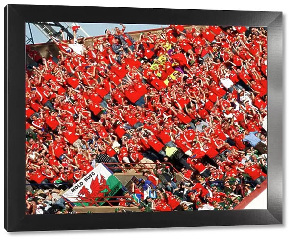 British Lions fans in South Africa in 2009