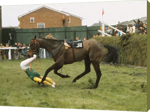 Kilmore Boy unseats his jockey at Valentines 1975