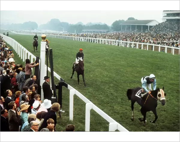 1973 Ascot Gold Cup
