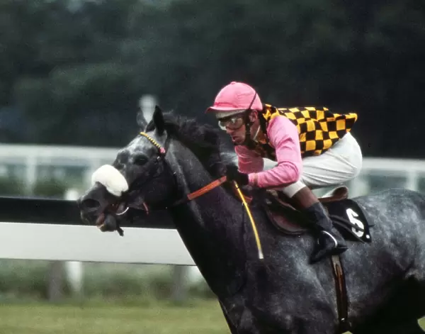 Warpath, ridden by Eddie Hide in the colours of Guy Reed, during the 1973 Prince of Wales stakes