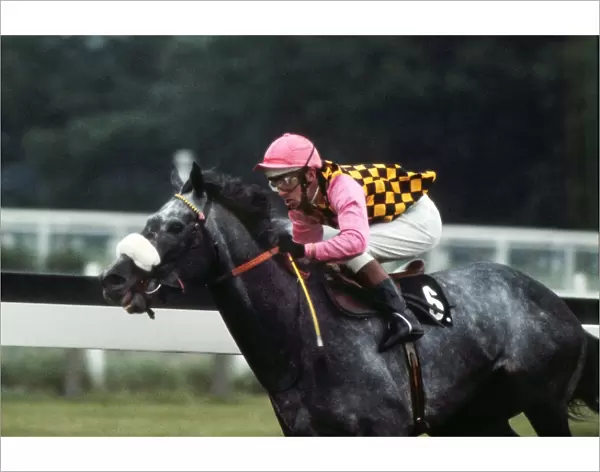 Warpath, ridden by Eddie Hide in the colours of Guy Reed, during the 1973 Prince of Wales stakes