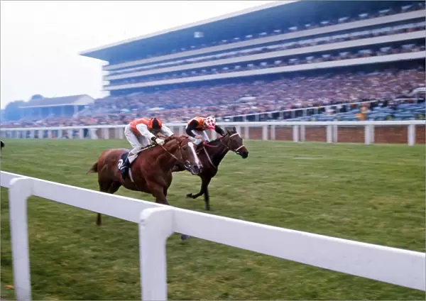 Full of Beans wins the 1973 Ascot Stakes