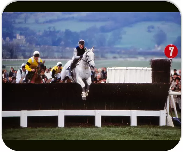 Desert Orchid in action in the 1990 Gold Cup