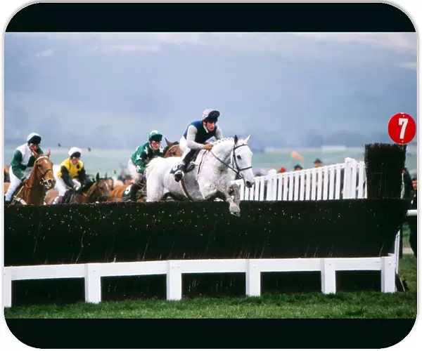 Desert Orchid on the way to winning the 1989 Cheltenham Gold Cup