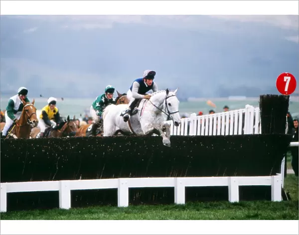 Desert Orchid on the way to winning the 1989 Cheltenham Gold Cup