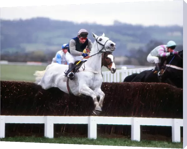 Desert Orchid on the way to winning the Queen Mother Champions Chase in 1988
