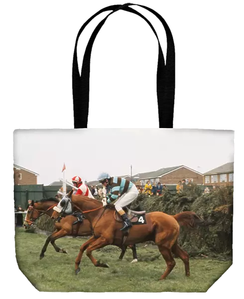 L Escargot clears Valentines during the 1975 Grand National