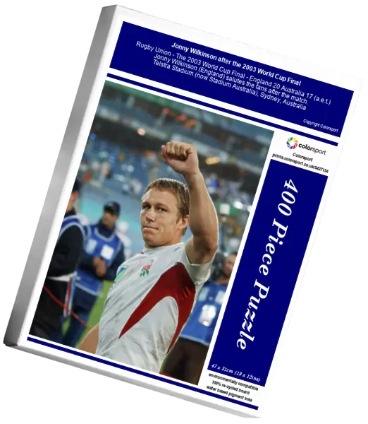Jonny Wilkinson after the 2003 World Cup Final