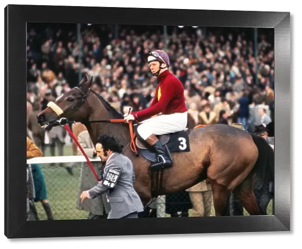 Red Rum at the 1973 Hennessey Gold Cup