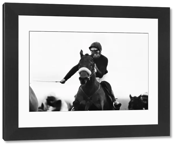 Red Rum at the 1973 Hennessey Gold Cup