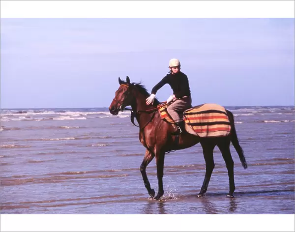 Red Rum in the sea off Southport beach