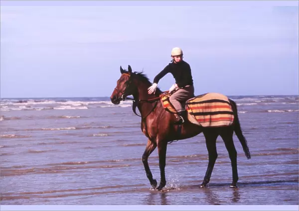Red Rum in the sea off Southport beach