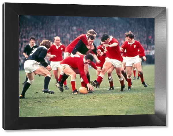 Wales face Scotland at Murrayfield - 1979 Five Nations