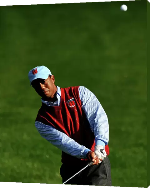 Tiger Woods - 2010 Ryder Cup