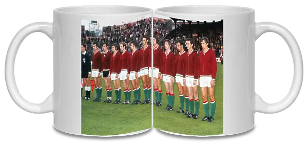 The Hungary team lines-up at Euro 72