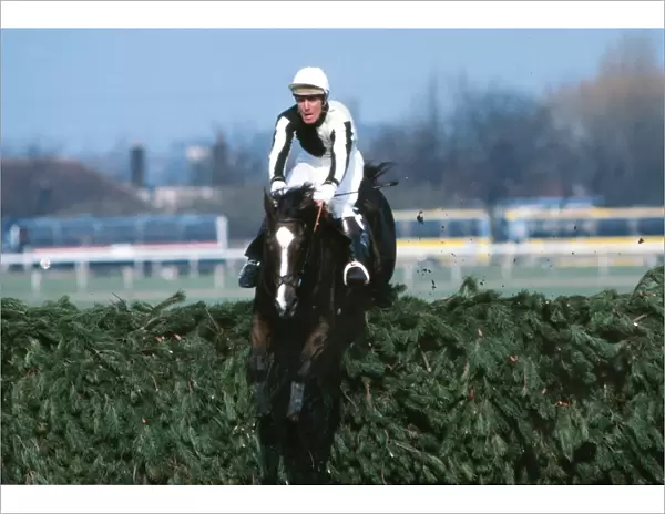 Ben Nevis clears the last on the way to winning the 1980 Grand National
