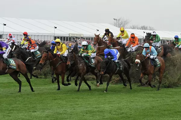 The 2010 Grand National