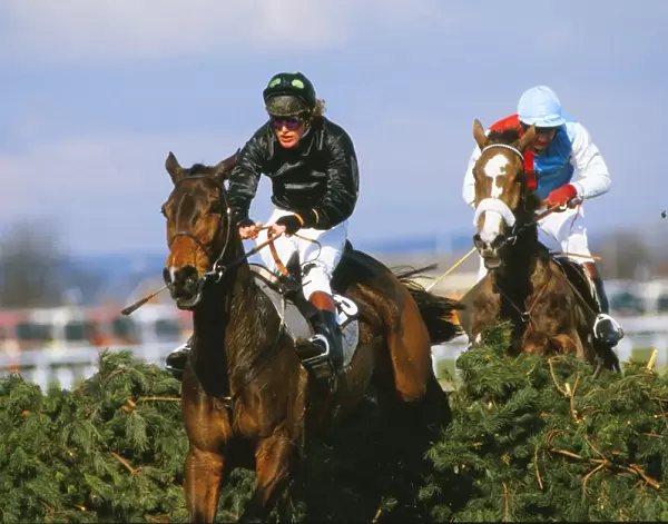 Hallo Dandy, ridden by Neale Doughty, on the way to winning the 1984 Grand National