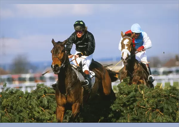 Hallo Dandy, ridden by Neale Doughty, on the way to winning the 1984 Grand National