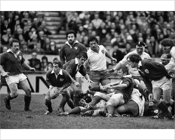 Irelands John Robbie prepares to pass the ball against France - 1981 Five Nations