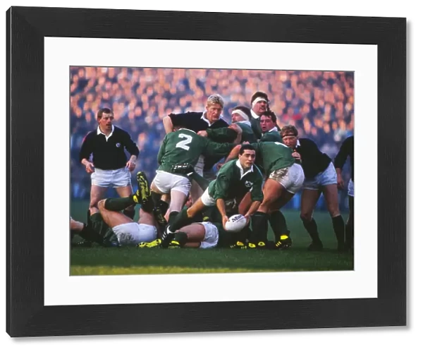 Irelands Michael Bradley - 1988 Five Nations