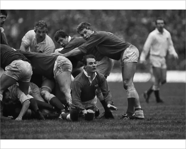 Wales Terry Holmes - 1984 Five Nations