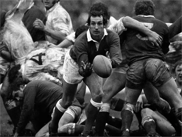 Wales Gareth Edwards - 1978 Five Nations