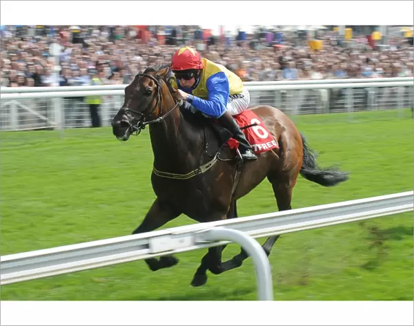 Yorkshire Ebor Festival - The Betfred City of York Stakes