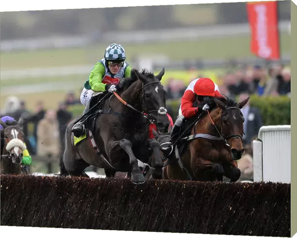 AP McCoy on Denman jumps the final fence of the 2010 Gold Cup