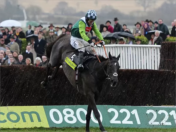 AP McCoy on Denman jumps the final fence of the 2010 Gold Cup