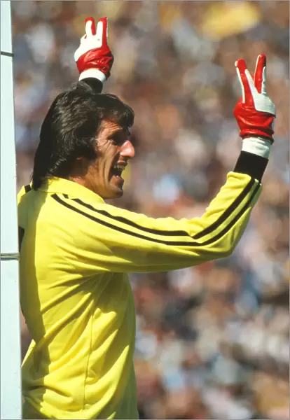 Englands Ray Clemence - 1980 British Home Championship