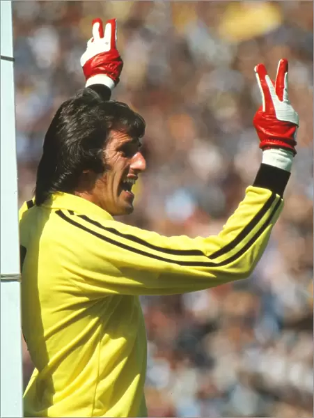 Englands Ray Clemence - 1980 British Home Championship