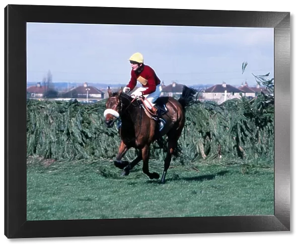 Red Rum and Tommy Stack clear the last to win the 1977 Grand National