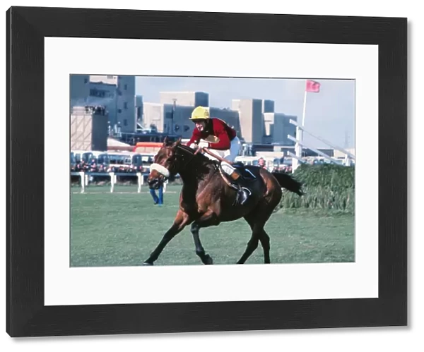 Tommy Stack and Red Rum race to the line to win the 1977 Grand National