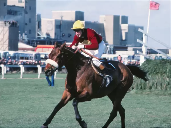 Tommy Stack and Red Rum race to the line to win the 1977 Grand National