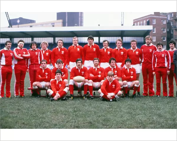 The Wales team that defeated Ireland in the 1981 Five Nations