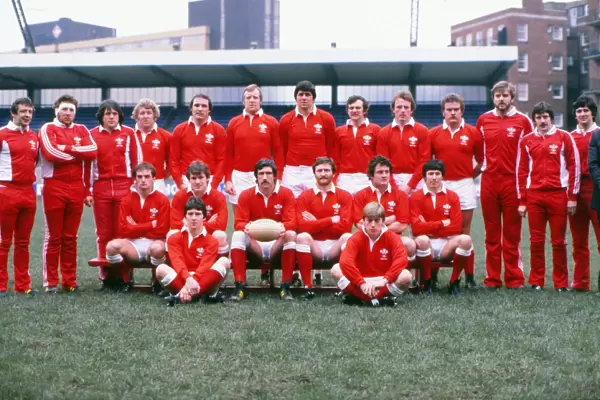 The Wales team that defeated Ireland in the 1981 Five Nations
