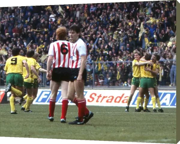 Sunderlands Gordon Chisholm stands dejected after his own goal as Norwich celebrate - 1985 League Cup Final