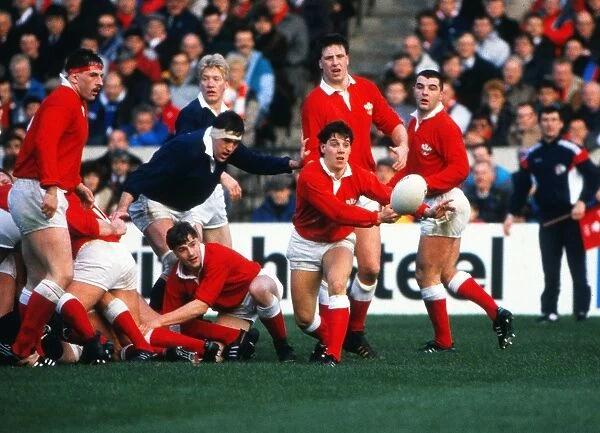 5N 1989: Scotland 23 Wales 7