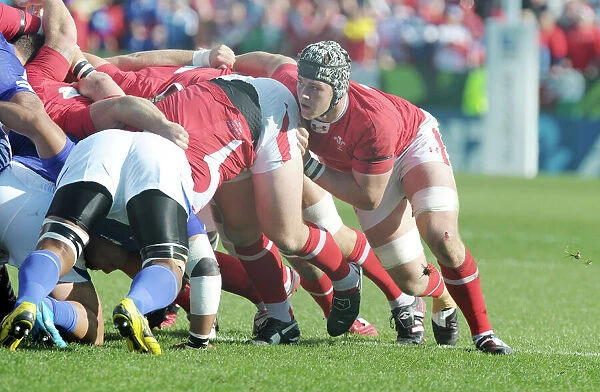 Dan Lydiate - Wales. Rugby Union - 2011 Rugby World Cup - Wales vs
