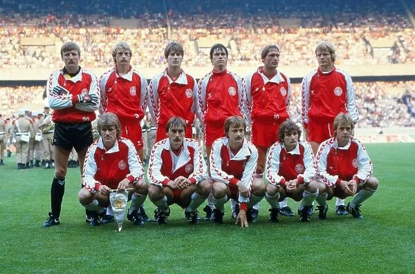 The Denmark team at Euro 84