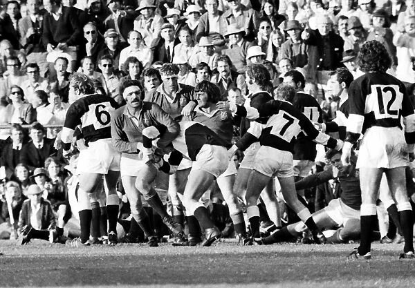 Fighting breaks out between Natal and the British Lions in 1974