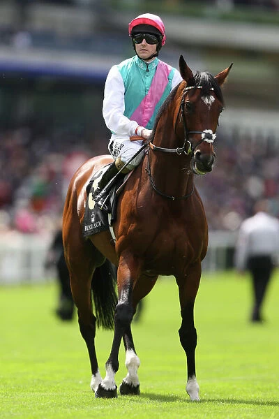 Frankel ridden by Tom Queally - Royal Ascot 2012
