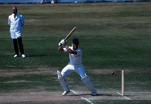 Graham Dilley bats during his famous stand with Ian Botham in the Third 1981 Ashes Test at Headingley