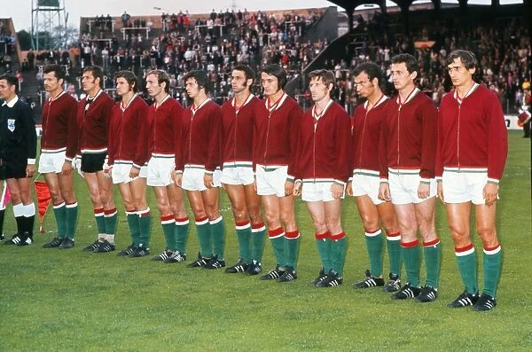The Hungary team lines-up at Euro 72