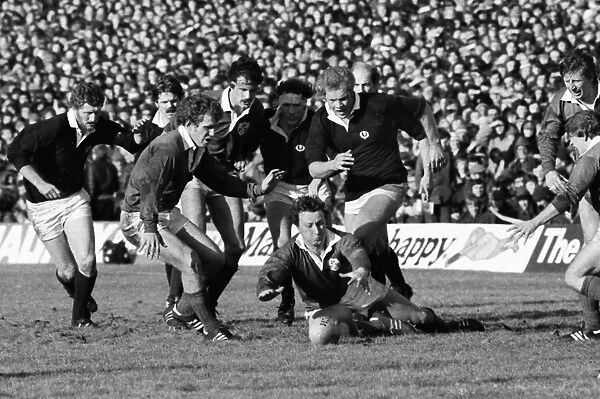 Ireland face Scotland in the 1979 Five Nations