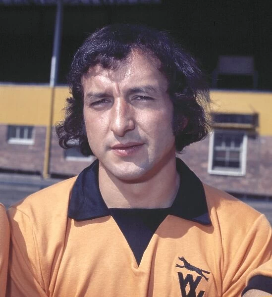 Mike O'Grady - Wolverhampton Wanderers
