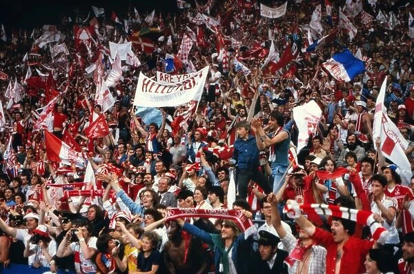 Nottingham Forest fans during the 1979 European Cup Final