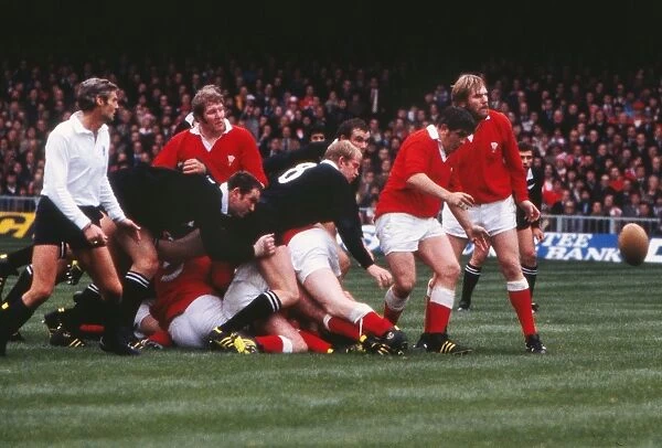 Referee Roger Quittenton looks on during the 1978 Wales game against the All Blacks